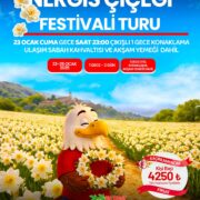 NERGİS ÇİÇEĞİ